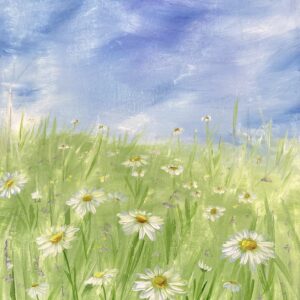 Field of Daisies - Painting Tutorial